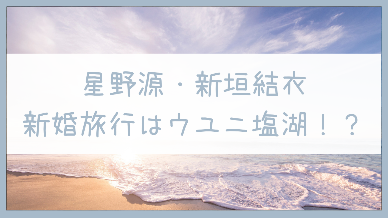 星野源と新垣結衣匂わせ発言まとめ 新婚旅行はウユニ塩湖で決定 ゆるふわミニマリスト